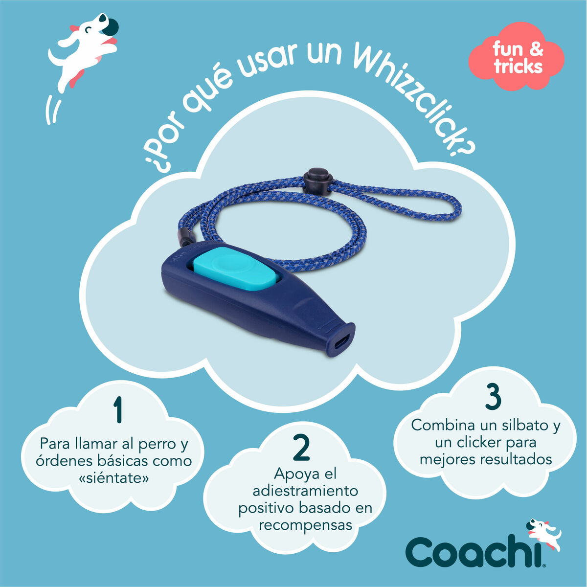 Apito Coachi